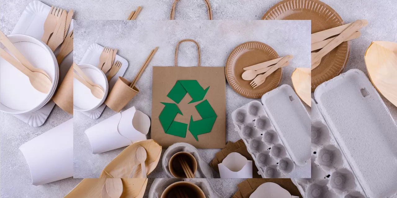 Sustainable Living: Panduan Lengkap Gaya Hidup Ramah Lingkungan